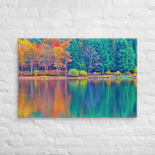 canvas-in-24x36-front-68f457edbe1c0.jpg Canvas France Provence Foliage 0007 24″×36″