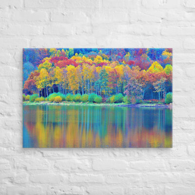 canvas-in-24x36-front-68f458fce58c7.jpg Canvas France Provence Foliage 0006 24″×36″