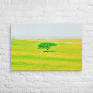 canvas-in-24x36-front-6900f1afcfc38.jpg Canvas israel achziv 0001 16″×20″