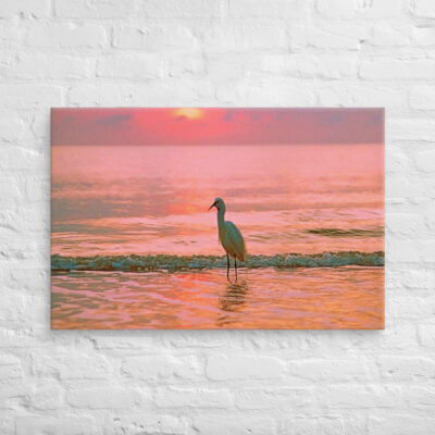 canvas-in-24x36-front-6901958db41e9.jpg Canvas birds of the world Egret 0003 24″×36″