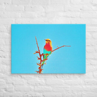 canvas-in-24x36-front-69019d97c410b.jpg Canvas birds of the world Roller 0002 24″×36″