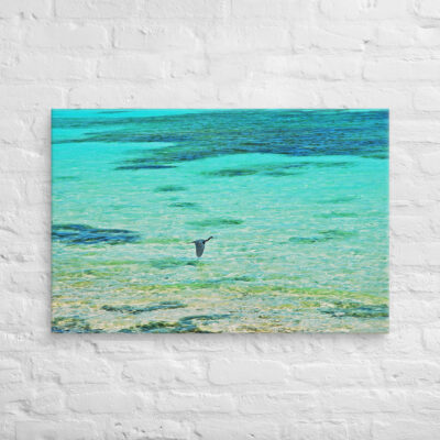 canvas-in-24x36-front-6901a3ee47bba.jpg Canvas birds of the world Great Blue Heron 0004 24″×36″