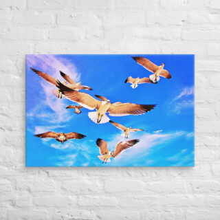 canvas-in-24x36-front-6901a5bc864ad.jpg Canvas birds of the world Sea Gull 0001 24″×36″