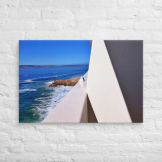 canvas-in-24x36-front-6901a87aca136.jpg Canvas birds of the world Sea Gull 0007 24″×36″