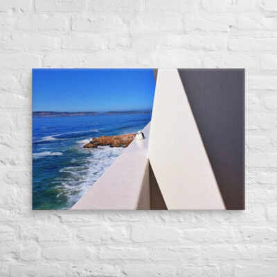 canvas-in-24x36-front-6901a87aca136.jpg Canvas birds of the world Sea Gull 0007 24″×36″