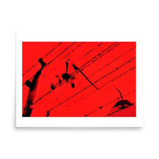 cat-posters-holocaust Poster  israel dead sea 001 18″×24″