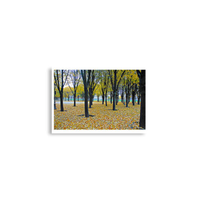 enhanced-matte-paper-poster-cm-a2-42x59.4-cm-front-68dd5d05436d1.jpg Poster print french paris foliage 0004x (42×59.4 cm)