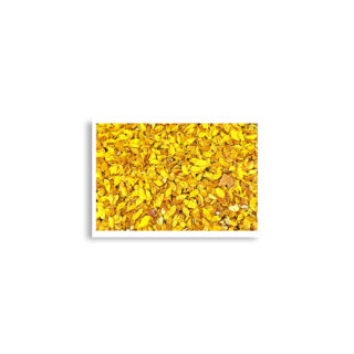 enhanced-matte-paper-poster-cm-a2-42x59.4-cm-front-68dd5dc5c35ef.jpg Poster print us foliage 0002x (42×59.4 cm)