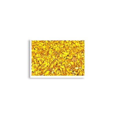 enhanced-matte-paper-poster-cm-a2-42x59.4-cm-front-68dd5dc5c35ef.jpg Poster print us foliage 0002x (42×59.4 cm)