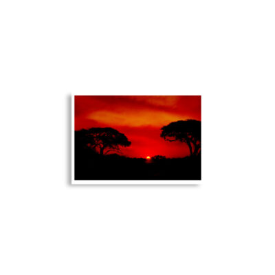 enhanced-matte-paper-poster-cm-a2-42x59.4-cm-front-68dd672cdd70f.jpg Poster print afrika sunset 0002x (42×59.4 cm)