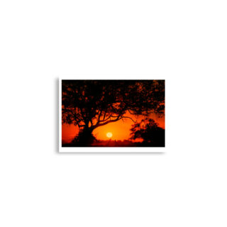 enhanced-matte-paper-poster-cm-a2-42x59.4-cm-front-68dd672d96aeb.jpg Poster print afrika sunset 0003x (42×59.4 cm)