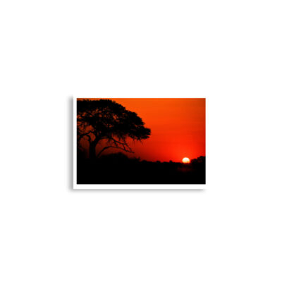 enhanced-matte-paper-poster-cm-a2-42x59.4-cm-front-68dd672e2cfc4.jpg Poster print afrika sunset 0001x (42×59.4 cm)