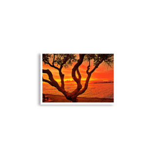 enhanced-matte-paper-poster-cm-a2-42x59.4-cm-front-68dd6b60db57e.jpg Poster print usa Oahu hawaii sunset 0006x (42×59.4 cm)