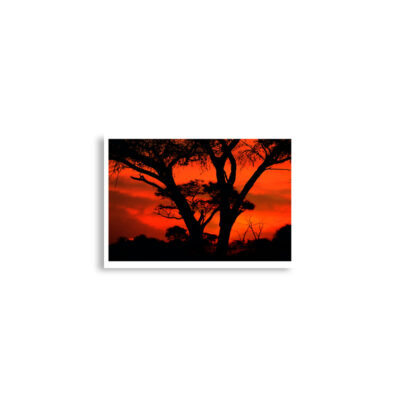 enhanced-matte-paper-poster-cm-a2-42x59.4-cm-front-68dd6f337ffbd.jpg Poster print afrika sunset 0004x (42×59.4 cm)