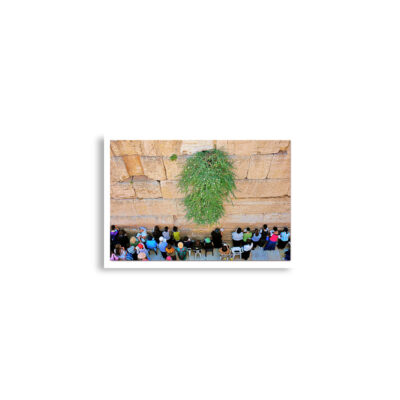 enhanced-matte-paper-poster-cm-a2-42x59.4-cm-front-68ded951e8934.jpg Poster print kotel Women praying 0001 (42×59.4 cm)