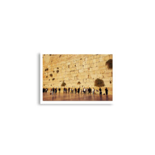 enhanced-matte-paper-poster-cm-a2-42x59.4-cm-front-68dee19b432a2.jpg Poster print kotel man praying 0003 (42×59.4 cm)