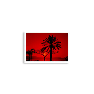 enhanced-matte-paper-poster-cm-a2-42x59.4-cm-front-68e3157e38c09.jpg Poster print israel kinneret Sea of Galilee 0002 (42×59.4 cm)