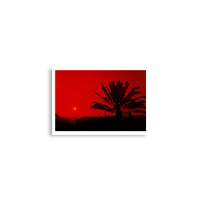 enhanced-matte-paper-poster-cm-a2-42x59.4-cm-front-68e3157e66bfd.jpg Poster print israel negev sunset 0004 (42×59.4 cm)