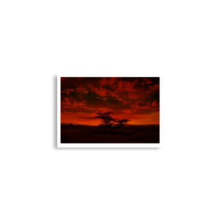 enhanced-matte-paper-poster-cm-a2-42x59.4-cm-front-68e3157eecbec.jpg Poster print israel negev sunset 0003 (42×59.4 cm)