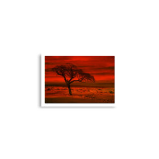enhanced-matte-paper-poster-cm-a2-42x59.4-cm-front-68e315f91eb07.jpg Poster print israel dead sea sunset 0002 (42×59.4 cm)