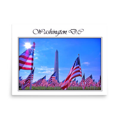 enhanced-matte-paper-poster-in-18x24-front-68fc10d12d677.jpg Poster Washington 0001 18″×24″