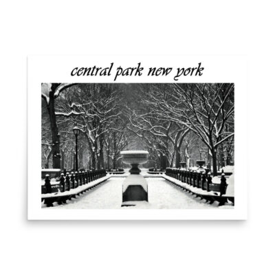 Poster NEW YORK central park 003 18″×24″