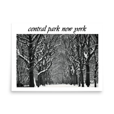 Poster NEW YORK central park 001 18″×24″