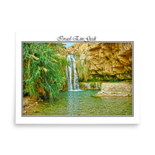 enhanced-matte-paper-poster-in-18x24-front-68fd365752177.jpg Poster israel ein gedi 001 18″×24″
