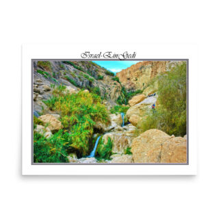 enhanced-matte-paper-poster-in-18x24-front-68fd3657aad56.jpg Poster israel ein gedi 002 18″×24″