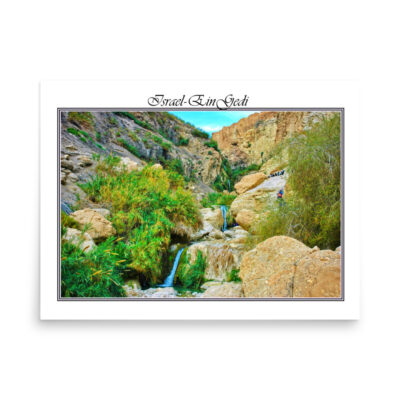 enhanced-matte-paper-poster-in-18x24-front-68fd3657aad56.jpg Poster israel ein gedi 002 18″×24″