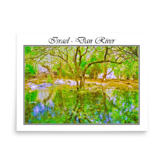 enhanced-matte-paper-poster-in-18x24-front-68fd36d6150d7.jpg Poster israel dan river 001 18″×24″