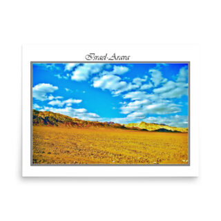 enhanced-matte-paper-poster-in-18x24-front-68fd36d6a678c.jpg Poster israel arava 001 18″×24″