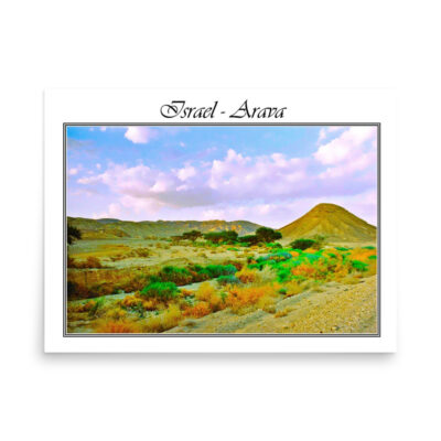 enhanced-matte-paper-poster-in-18x24-front-68fd36d7f27ec.jpg Poster israel arava 002 18″×24″