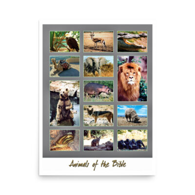 enhanced-matte-paper-poster-in-18x24-front-68fe44613084c.jpg Poster animals of the bible 003 18″×24″