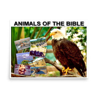 Poster animals of the bible 002 18″×24″