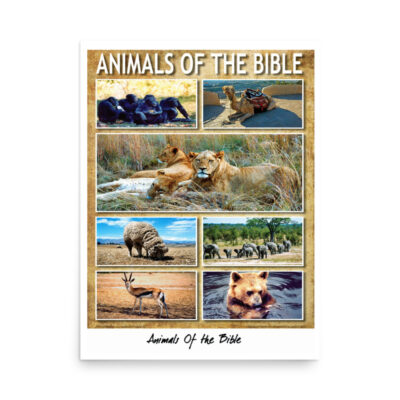 enhanced-matte-paper-poster-in-18x24-front-68fe44618a86f.jpg Poster animals of the bible 004 18″×24″