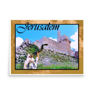 enhanced-matte-paper-poster-in-18x24-front-68fe9189d9644.jpg Poster jerusalem 0013 18″×24″