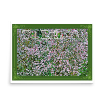 enhanced-matte-paper-poster-in-18x24-front-68ff9d88d5614.jpg Poster tu bishvat 0007 18″×24″