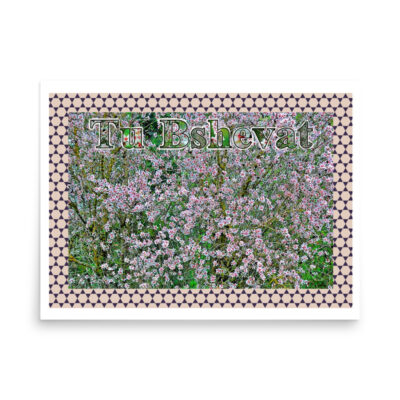 enhanced-matte-paper-poster-in-18x24-front-68ff9d8940924.jpg Poster tu bishvat 0004 18″×24″