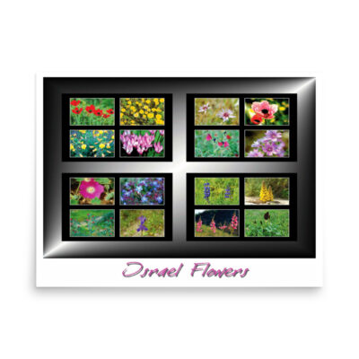 enhanced-matte-paper-poster-in-18x24-front-68ffa1d1b6a38.jpg Poster israel flowers 002 18″×24″