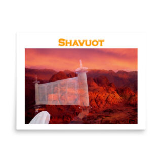 enhanced-matte-paper-poster-in-18x24-front-6901aadbe8c49.jpg Poster  israel dead sea 001 18″×24″