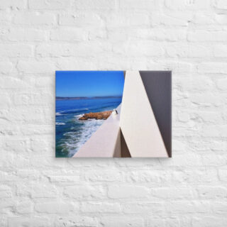 canvas-in-18x24-front-69062d28377d9.jpg Canvas birds of the world Sea Gull 0007 18″×24″