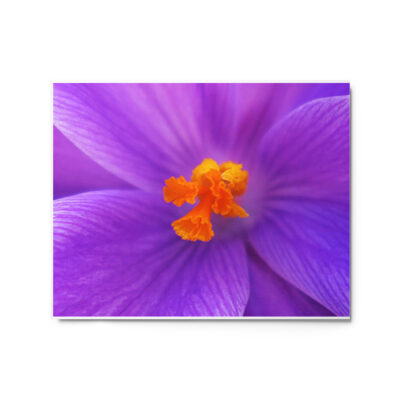 glossy-metal-print-in-white-16x20-front-69167204771fb.jpg Metal prints abstract flora 0003 16″×20″