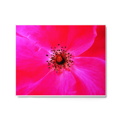 glossy-metal-print-in-white-16x20-front-6916750842783.jpg Metal prints abstract flora 0001 16″×20″