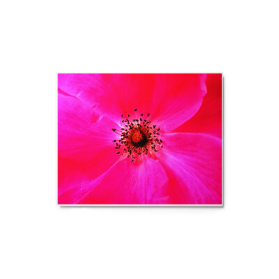 glossy-metal-print-in-white-8x10-front-691675ab520ac.jpg Metal prints abstract flora 0001 8″×10″