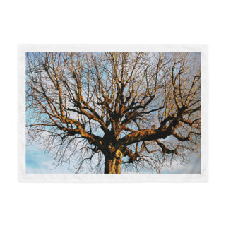 indoor-wall-tapestry-26x36-front-6928cd33207e7.jpg Indoor wall tapestry France Foliage 1 26″×36″