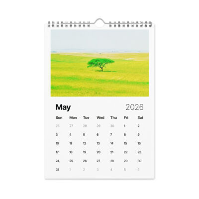 Wall calendar (2026) israel vista
