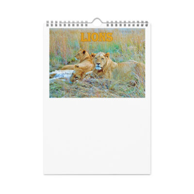 Wall calendar (2026) lions