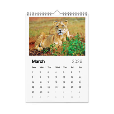 Wall calendar (2026) lions