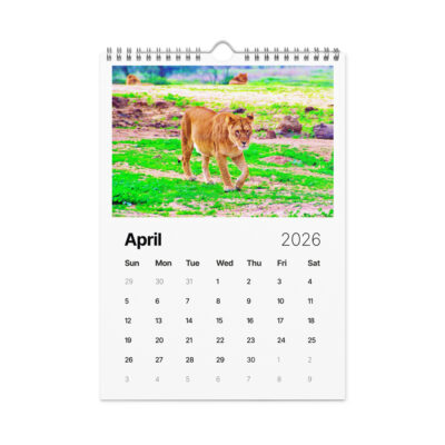 Wall calendar (2026) lions